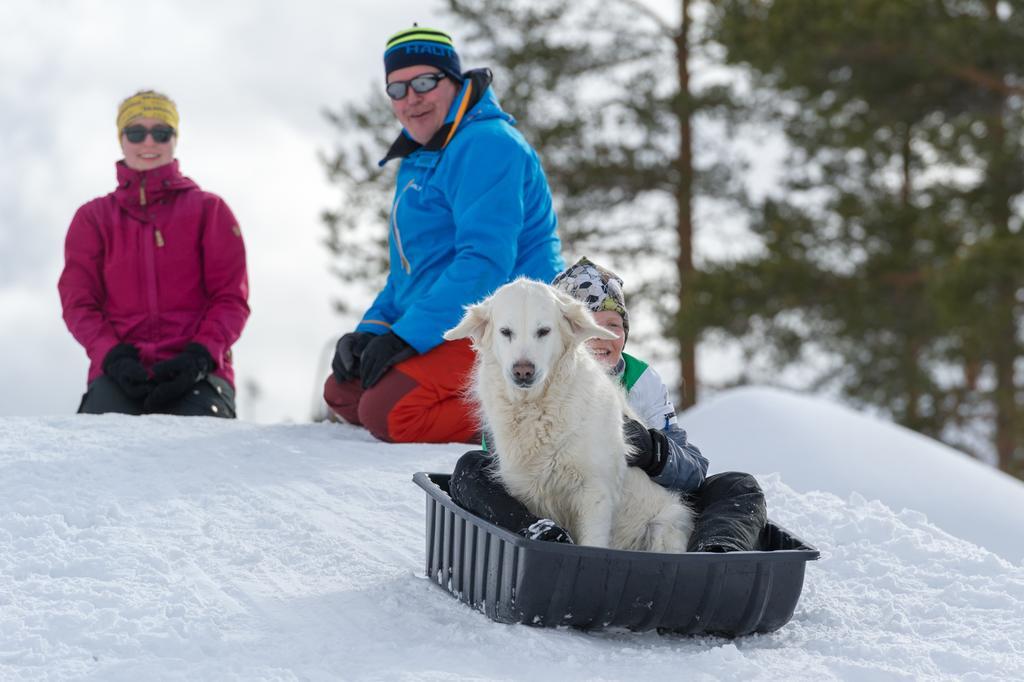 Willa Yllaeksen Yoepuu Äkäslompolo Zewnętrze zdjęcie
