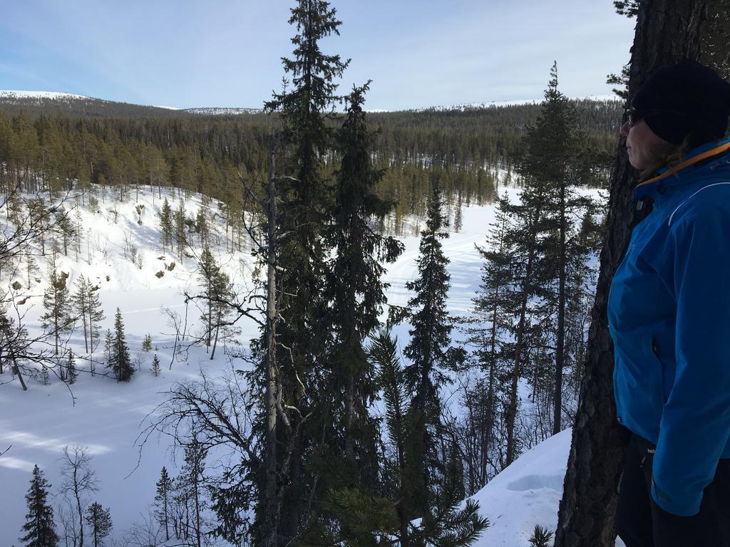 Willa Yllaeksen Yoepuu Äkäslompolo Zewnętrze zdjęcie