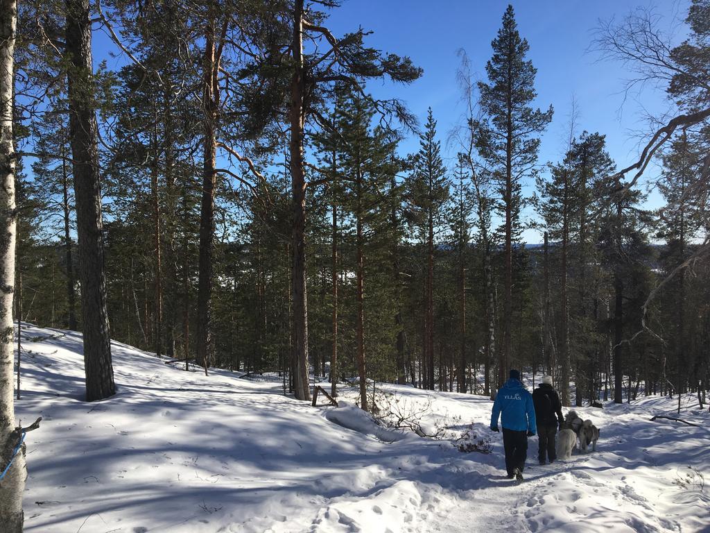Willa Yllaeksen Yoepuu Äkäslompolo Zewnętrze zdjęcie